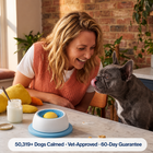 Interactive Slow Feeder Lick Toy for Dogs thumbnail 6