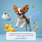 Interactive Slow Feeder Lick Toy for Dogs thumbnail 7