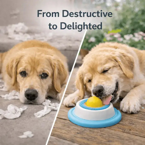 Interactive Slow Feeder Lick Toy for Dogs — Mental Stimulation & Anxiety Relief